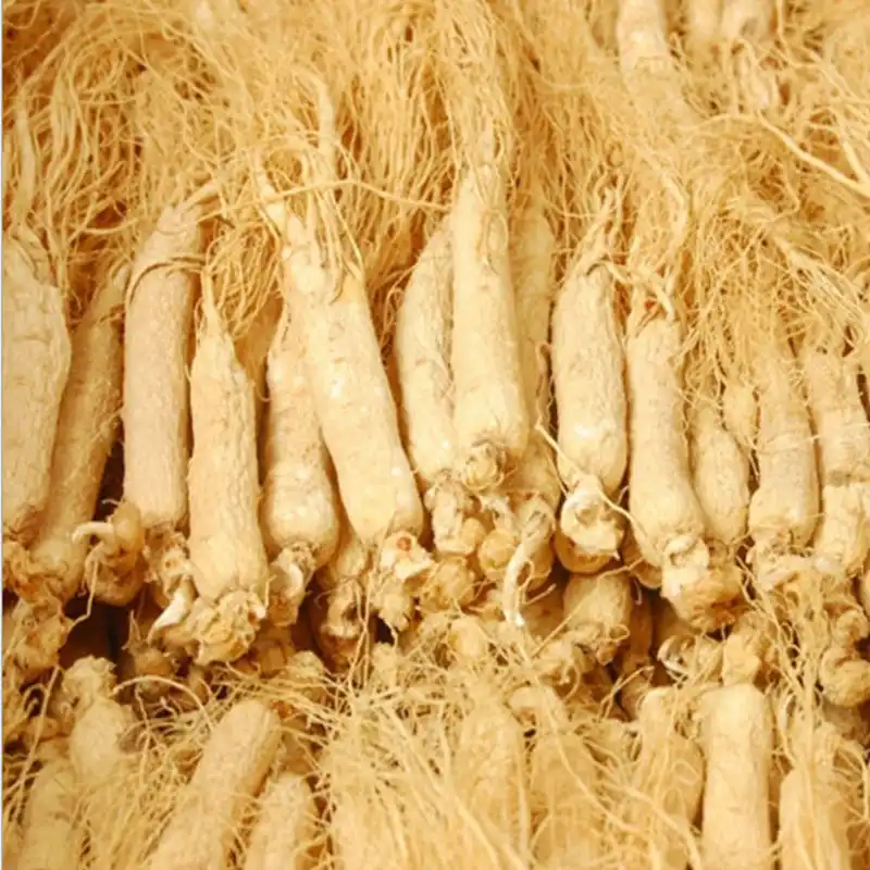 chinese natural wild white ginseng dry root 8 ye
