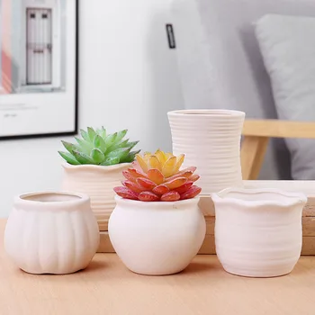 

White Color Breathable Fleshy Planter Vase Flower Pot Ceramic Suyaki Flowerpot Desktop Ornaments Bonsai Cactus Container