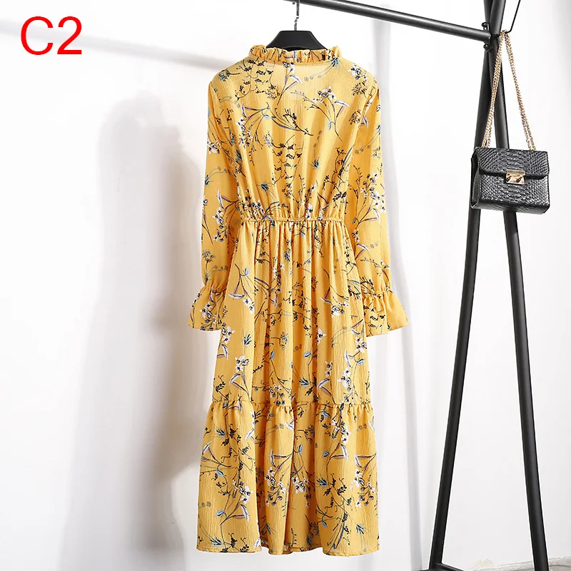 C2.