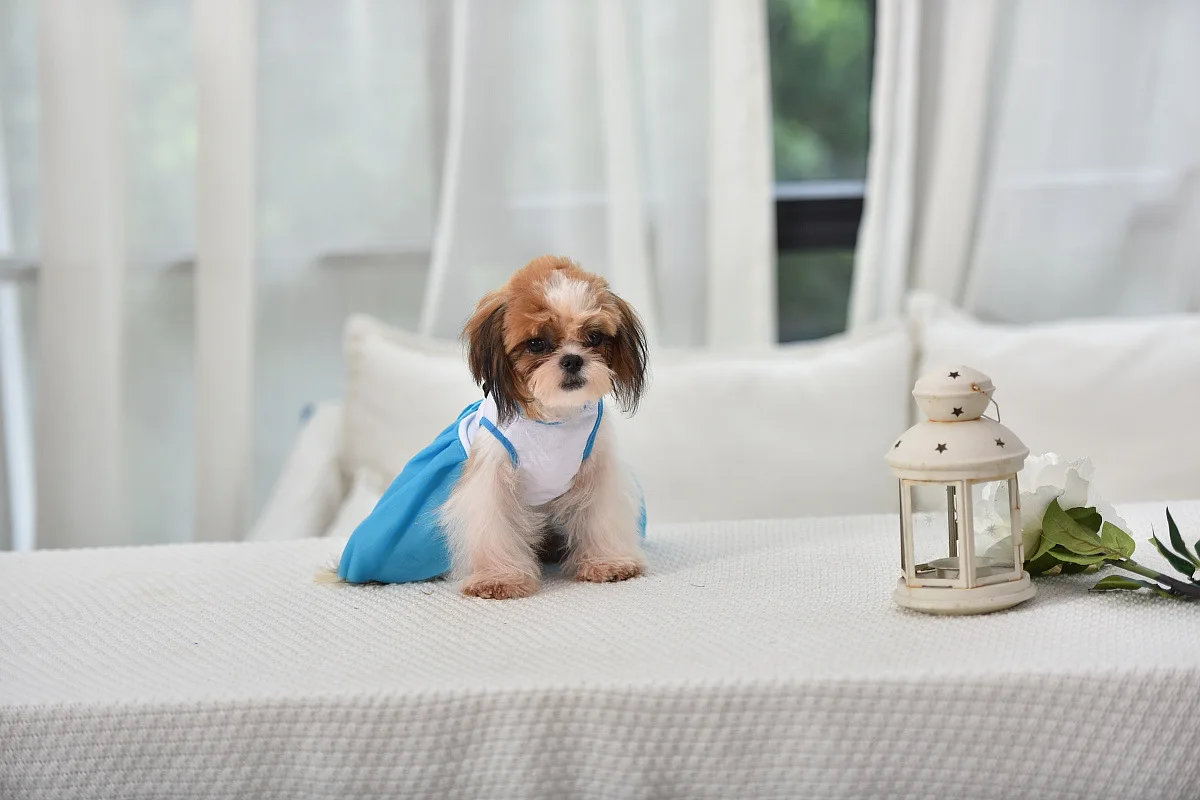 优宝龙宠物衣服 (171).jpg