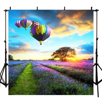 

Photo studio lavender hot air balloon photography background sunlight sky background newborn friends landscape photo backdrop