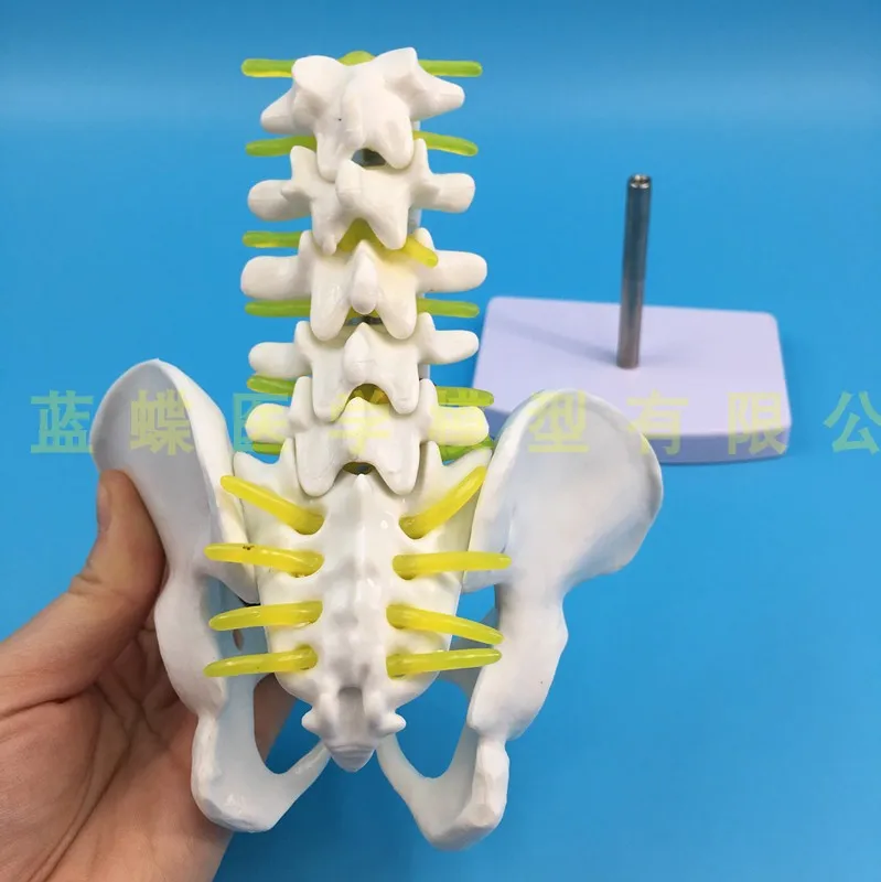 O1CN0135JrPl1r1YyeOaCwE_!!366265571