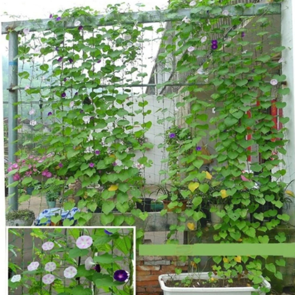 Trellis Plant Support Mesh Net Fence Tent Climbing Veggie Pea Bean Fruit Garden 