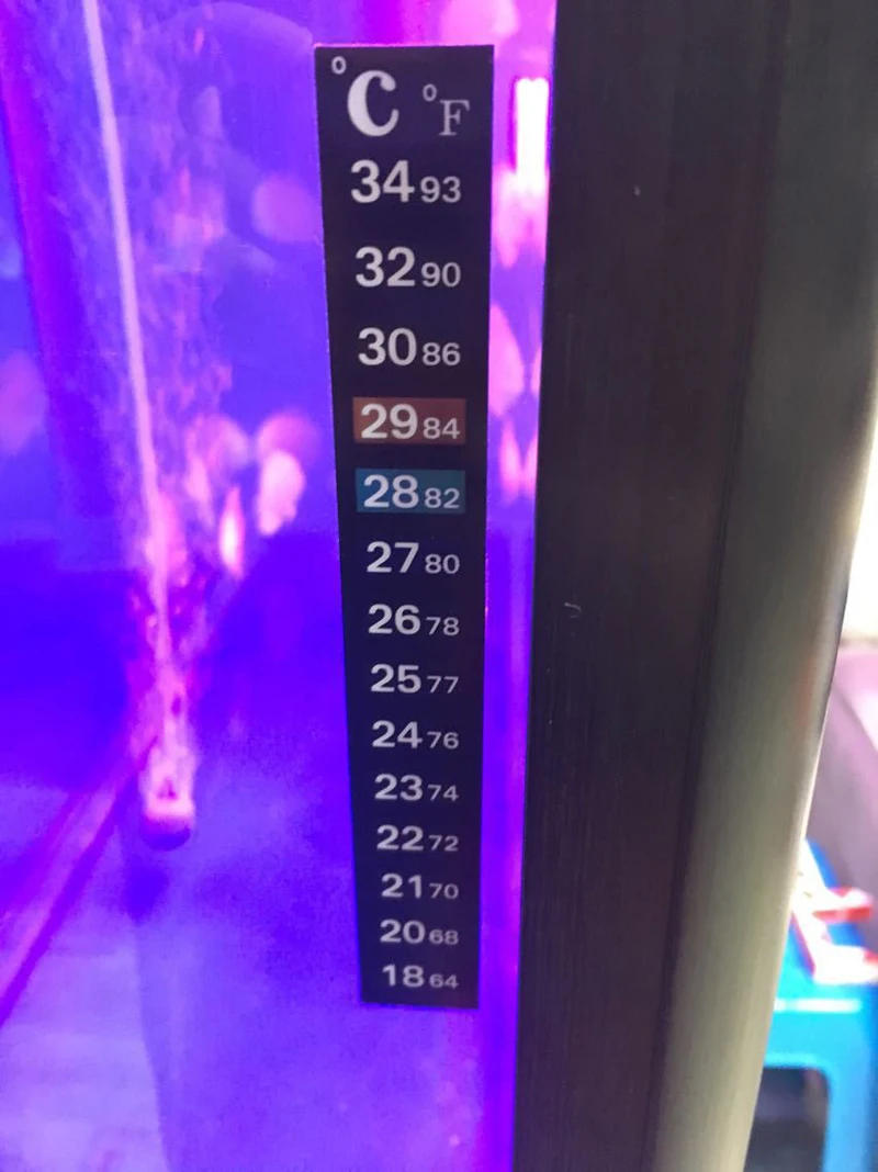 Termómetro Digital para pecera, pegatinas de medición de temperatura, herramientas para acuario, 1 unids/lote
