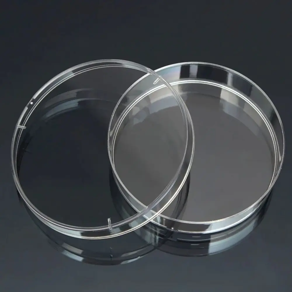 10Pcs Plastic Sterile Petri Dishes Bacteria Culture Dish Lids 55x15mm Laboratory Biological Scientific School Supplies petri dishes