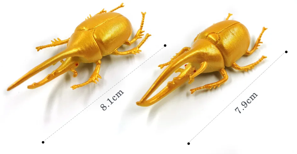详情页-4款-昆虫甲虫等_12