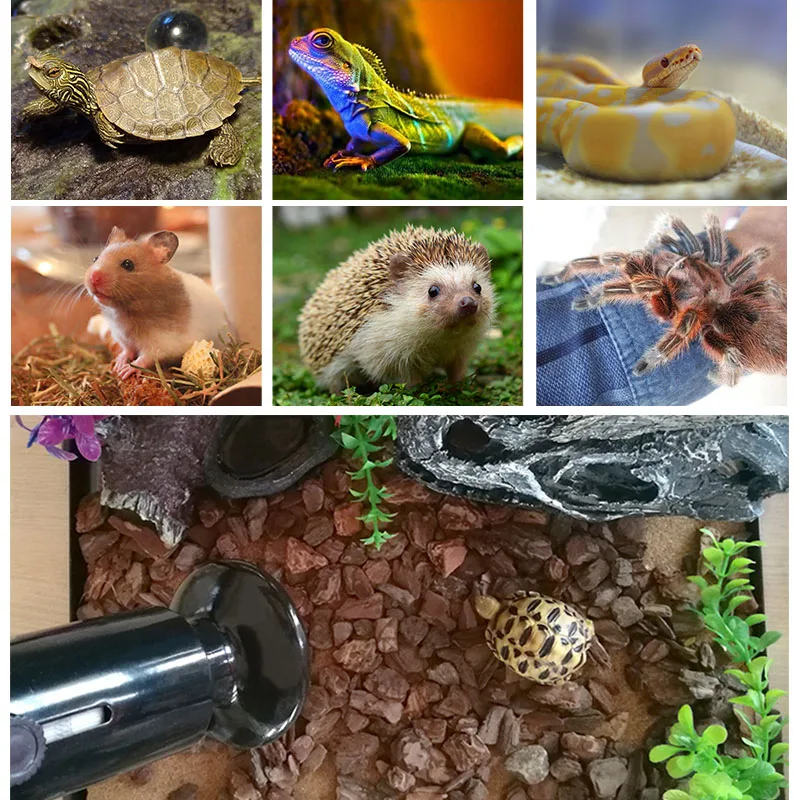 Pet Heating Light Bulb Infrared Black Ceramic Emitter Heat Lamp Bulb for Reptile Animals Heater Brooder Chocadeira Ceramic Heate