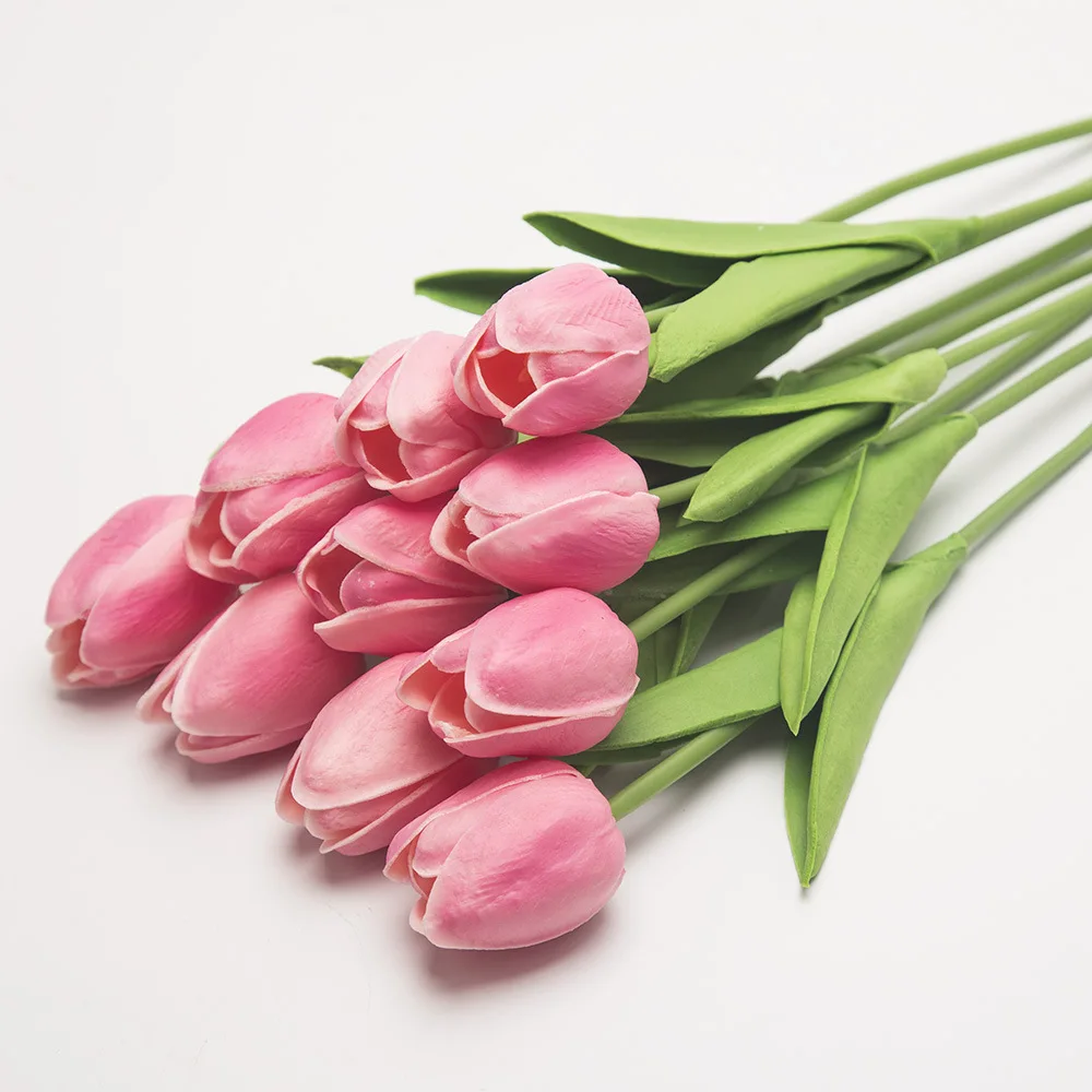 10804948795_831230203