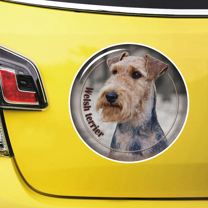 

Welsh Terrier Self-adhesive Decal Car Sticker Waterproof Auto Decors on Bumper Rear Window Laptop Choose Size #S60907