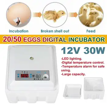

Automatic Incubation Box Egg Digital Incubator Suitable for Hatching Snake Lizards Reptile Bird Egg Box Reptile Breeding Box