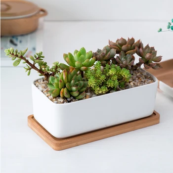 

2Pcs White Garden Succulent Planter Novel Nice Oblong Pot Ceramic Flower Pot Bamboo Tray Bonsai Flowerpot A50