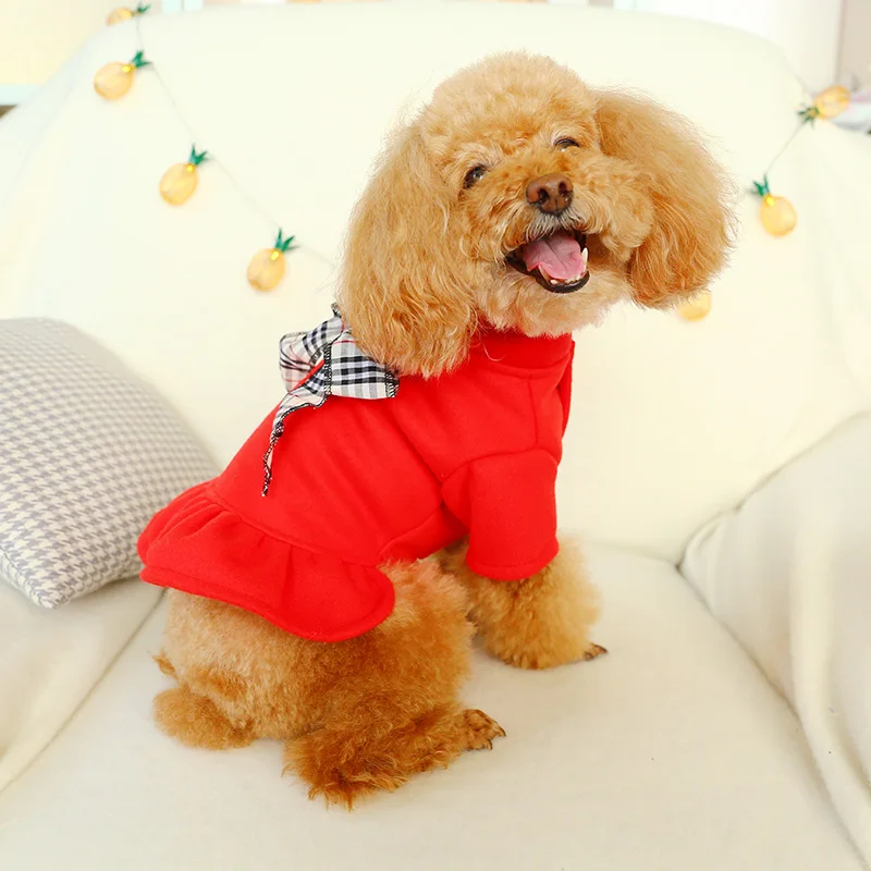 PETCIRCLE платье для собак для питомцев Одежда плюшевый бишон Померанский маленькая собака осень и зима утолщенное милое платье принцессы