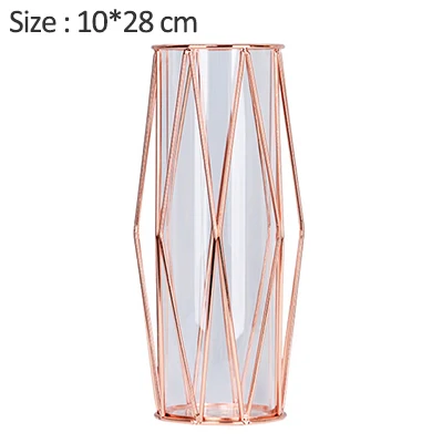 Rose gold L Скандинавские кованые стеклянные вазы для цветов из прозрачного стекла, тестовые трубки, гидропоники для рабочего стола, украшение для дома, аксессуары - Цвет: Rose gold L