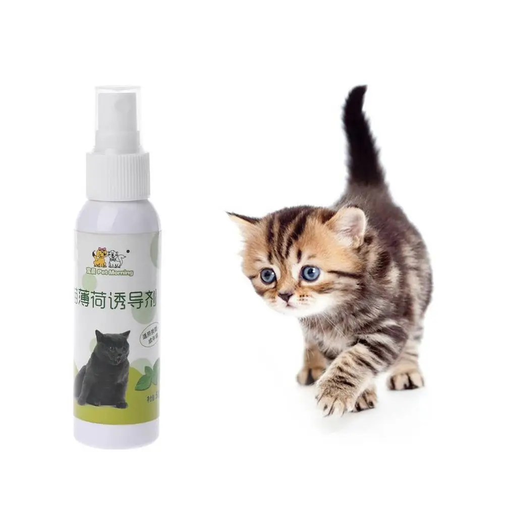 50ml Catnip Spray Cat Excitement Toy Cat Organic Natural Scratch Healthy Inducer Catnip Funny Scratch Toy