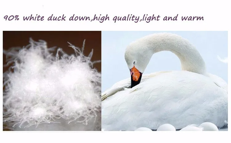 HTB1jsSlKVXXXXafXpXXq6xXFXXX0