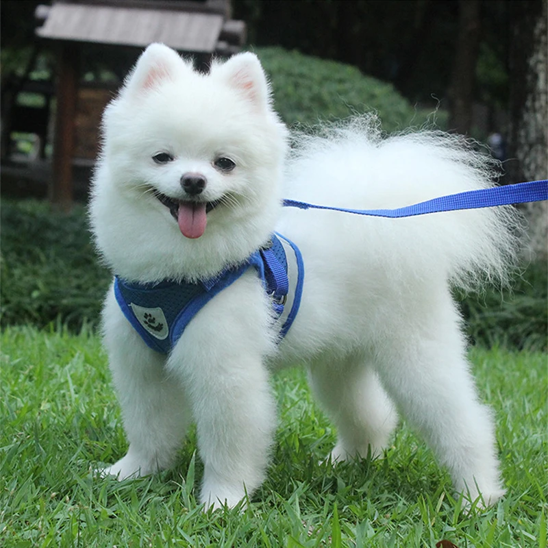 16456265187_609020808