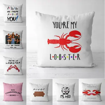 

Personalized You're my Lobster Pillow Cover Friends TV Show Throw Pillow Gift for Couples Wedding Gift Pillow Bridal Shower Gift