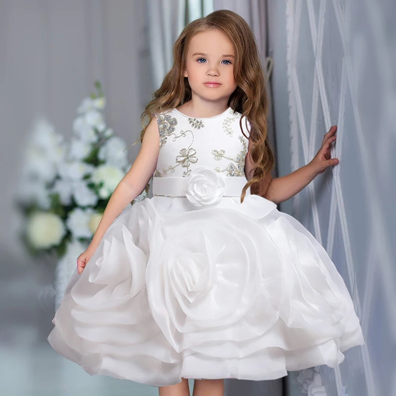 Children's Party Girl Dresses | Flower Girl Dresses Weddings - Wedding  Christmas - Aliexpress