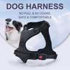 Pet Products