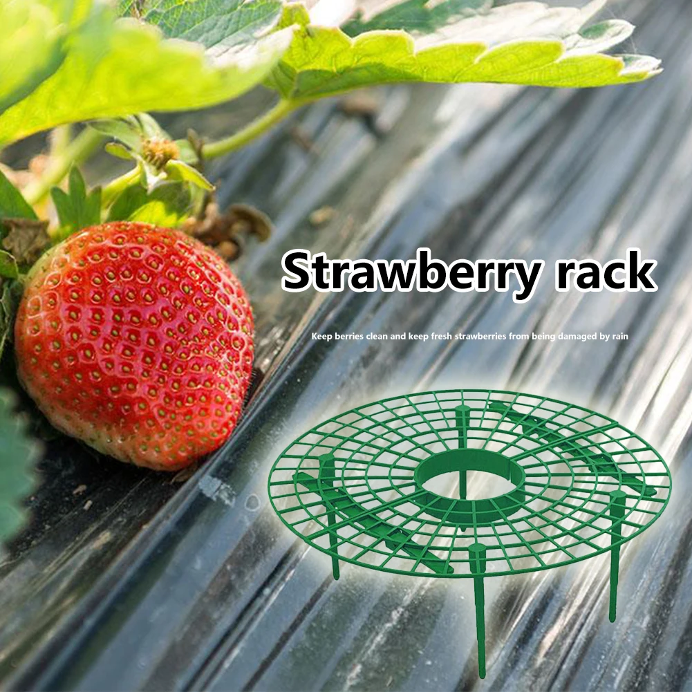 Plastic Strawberry Support Stand Removable Vegetable Fruit Climbing Plant Rack 