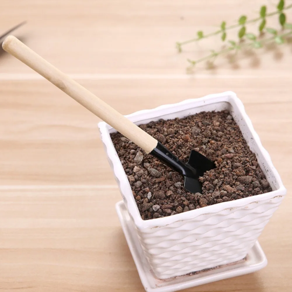 313017_no-logo_313017-1-13-g