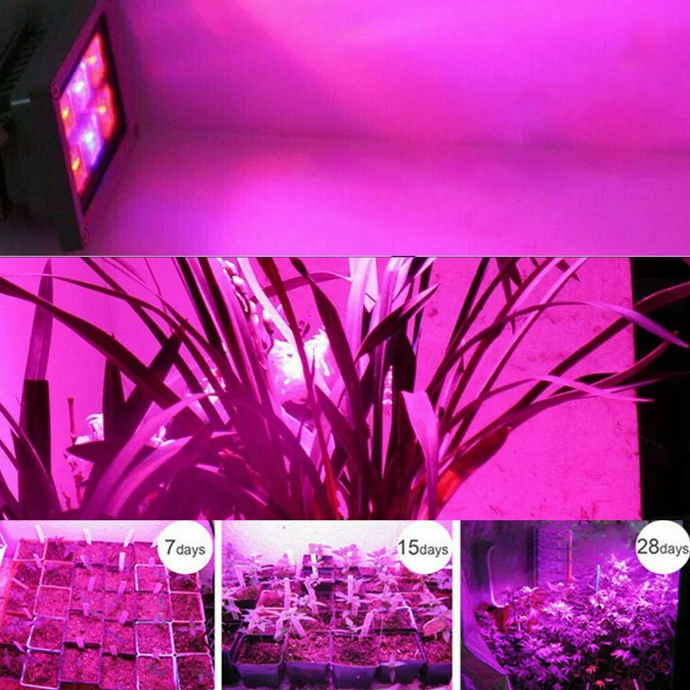 Светодиодный светильник Refugium Red Grow для выращивания Chaeto Macro Algae|Фитолампы| |