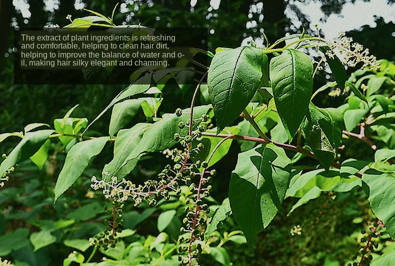 H762f012799ad4e17a45956010b34f6a1U