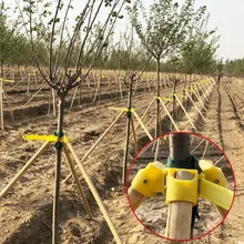 Best Price 3 sizes Gardening TPR Fruit Tree Fixation Support Tool Plant Windbreak Support Protection Binding Holder Kit Home garden product Best Price 3 sizes Gardening TPR Fruit Tree Fixation Support Tool Plant Windbreak Support Protection Binding Holder Kit Home garden product