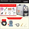 Portable Tig Welder 220V Power Ws-250A Pulse Tig Arc 2 In 1 Professional Tig Argon Gas Welding Tig Welding Machine 2
