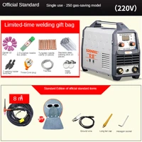 Portable Tig Welder 220V Power Ws-250A Pulse Tig Arc 2 In 1 Professional Tig Argon Gas Welding Tig Welding Machine 2