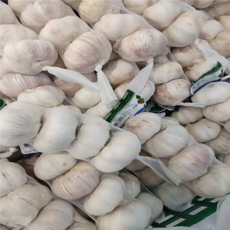 Wa Sai Luo Laba Garlic 250g1 bag, Jade Garlic, Fresh Green India | Ubuy