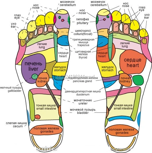 1203470_143537019219_2_meitu_1
