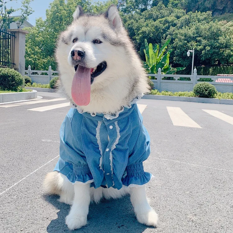 

Meduim Large Dog Clothes Jeans Pet Coat Jacket Fashion Princess Dogs Pets Clothing for Dogs Shirt Pug Labrador Golden Retriver