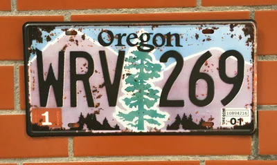 4481668232_788987331 (1)