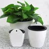Garden Supplies