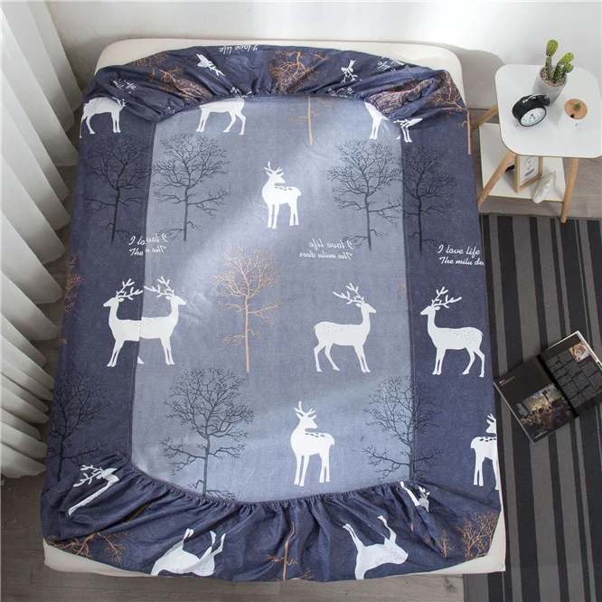 11399878104_1125082202