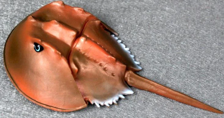 Китайский осетр Подкова Краб моделирование модель морского животного игрушка твердый пластик детская когнитивный подарок - Цвет: no2