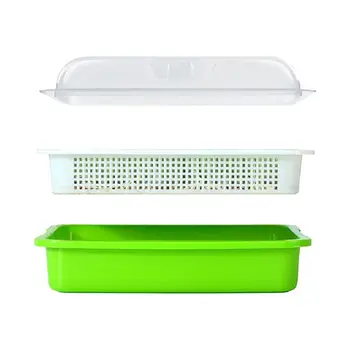 

Seed Sprouter Tray BPA Free PP Soil-Free Large Capacity Healthy Wheatgrass Grower with Cover Seedling Sprout Plate