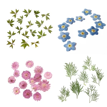 

10x Pressed Dried Flower Leaf Phone Case Bookmark Album DIY 4 Types