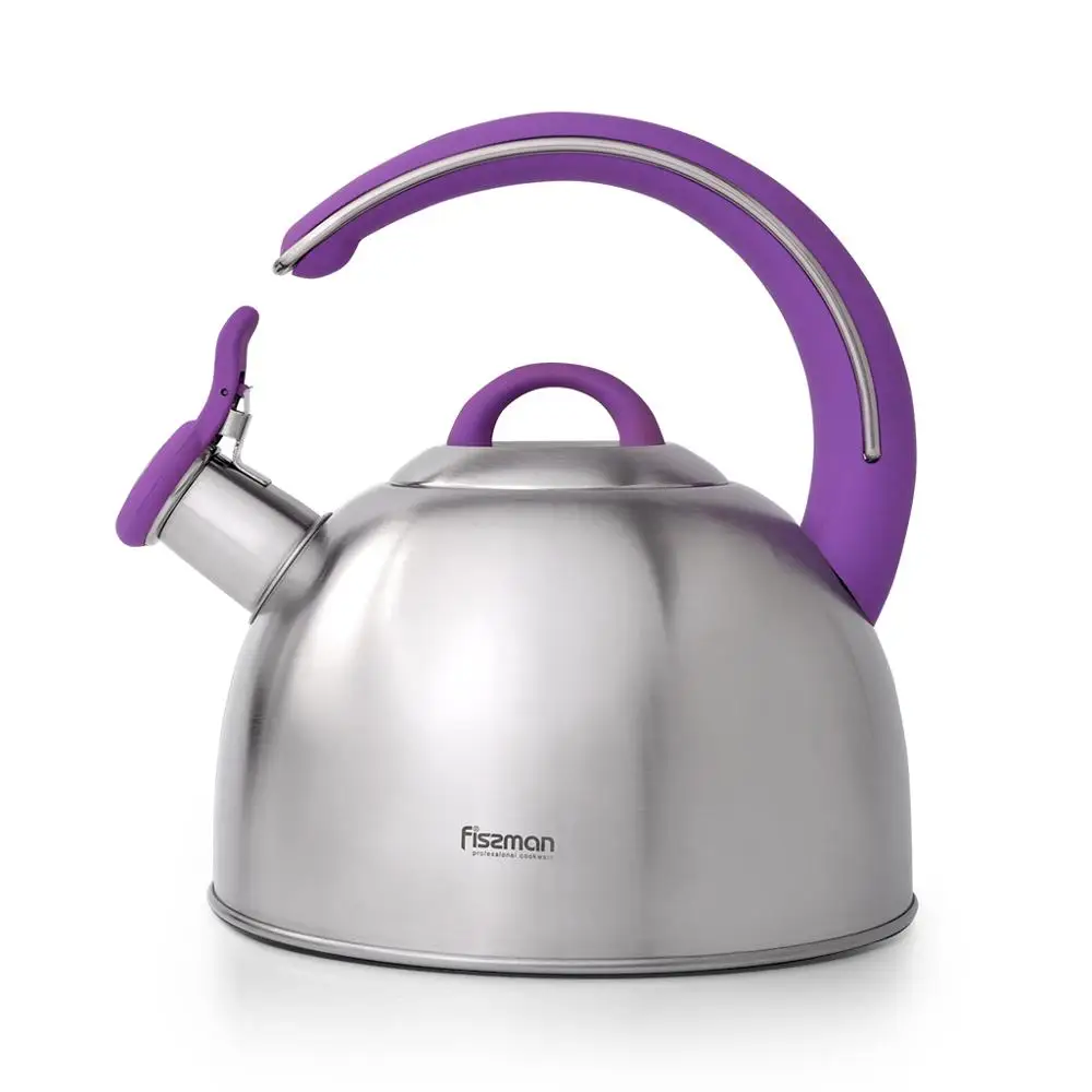 

2.6L tea kettle whistle coffee maker stainless steel induction kettle