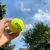 WELKIN New 63mm Pet Dog Puppy Tennis Ball Thrower Chucker Launcher Play Toy Supplies Outdoor Sports with Rubber Design for Pets