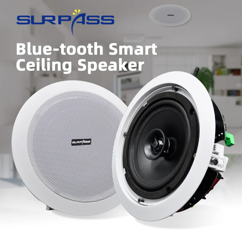 Ceiling Speaker Home Audio Bluetooth System 30w Hifi Stereo AliExpress