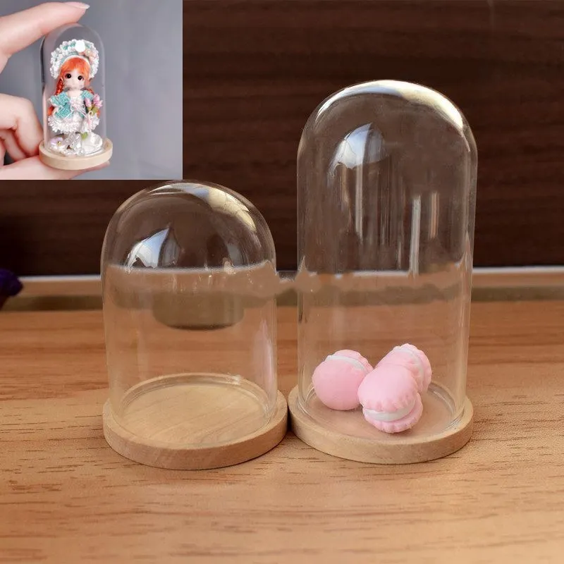 10pcs 유리 병 테라리움 항아리 대나무 기본 돔 먼지 커버 DIY 견본 즙이 많은 식물 마이크로 풍경 꽃병 디스플레이