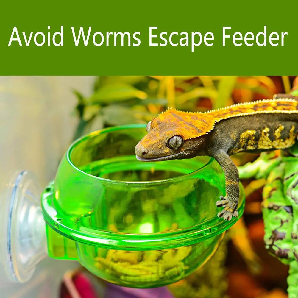 

Green Anti-escape Food Bowl Worm Live Fodder Container for Pet Lizard Chameleon