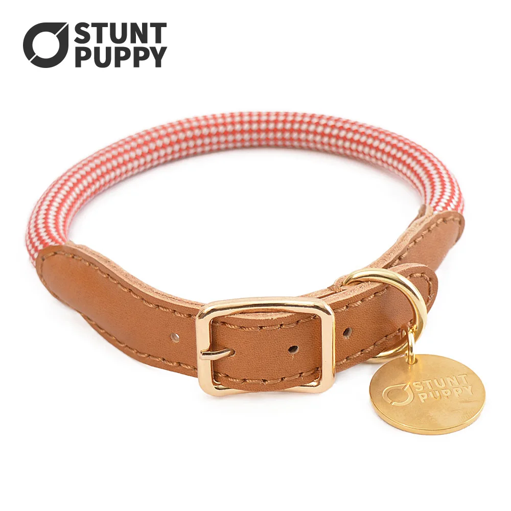 

Stunt Puppy Dog Collar Dupont Silk Climbing Rope And Cow Leather Pet Dogs Collar Leash Large Small Dogs Walking Dog Seat Belt