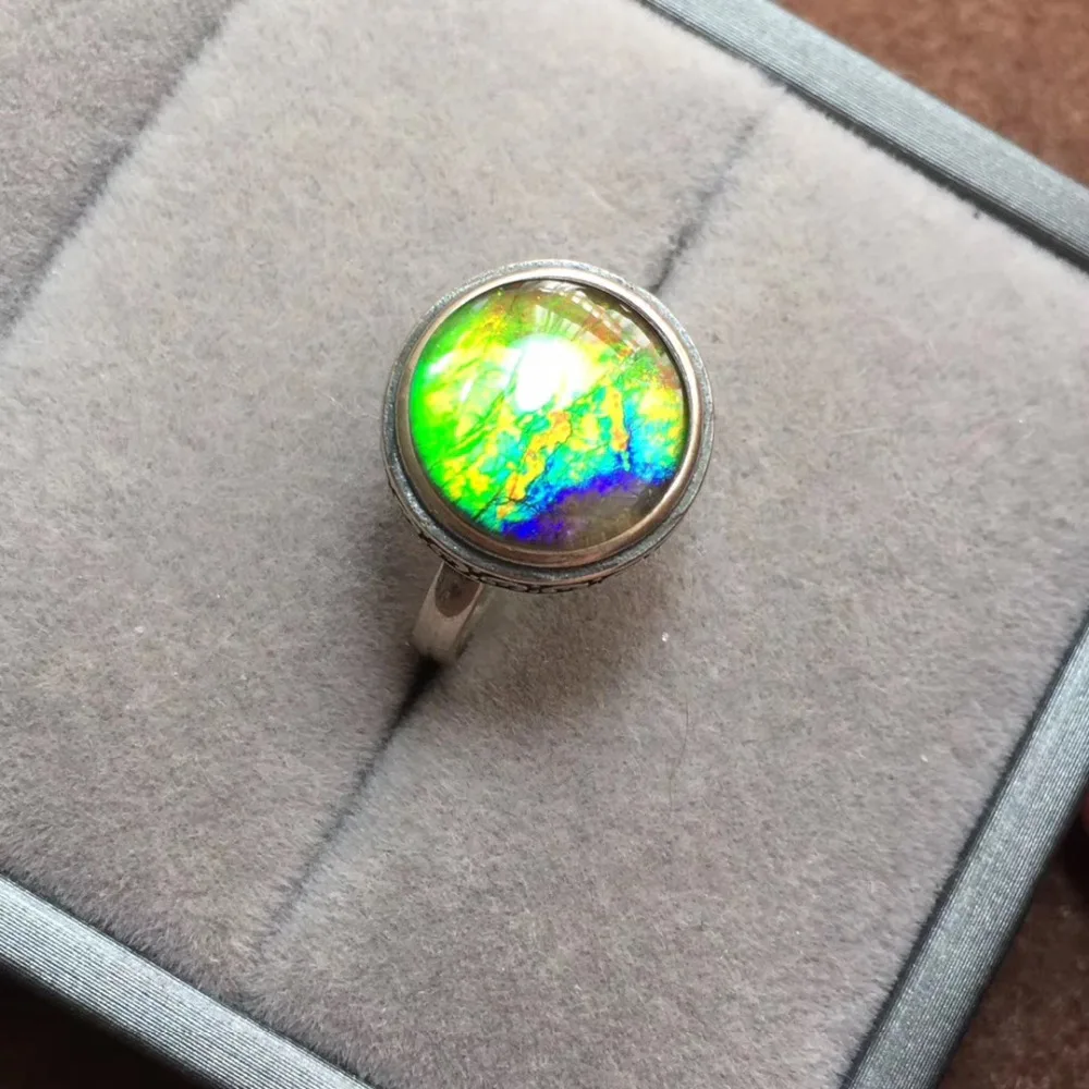 IMG_7787(20200211-170258)