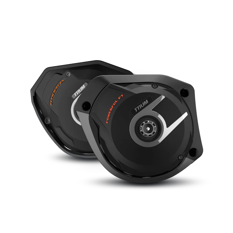 PESU MEET 20 дюймов складной электровелосипед 36V250W среднеразмерный мотор электрический велосипед Встроенная литиевая аккумуляторная батарея Максимальная скорость 25 км/ч ebike