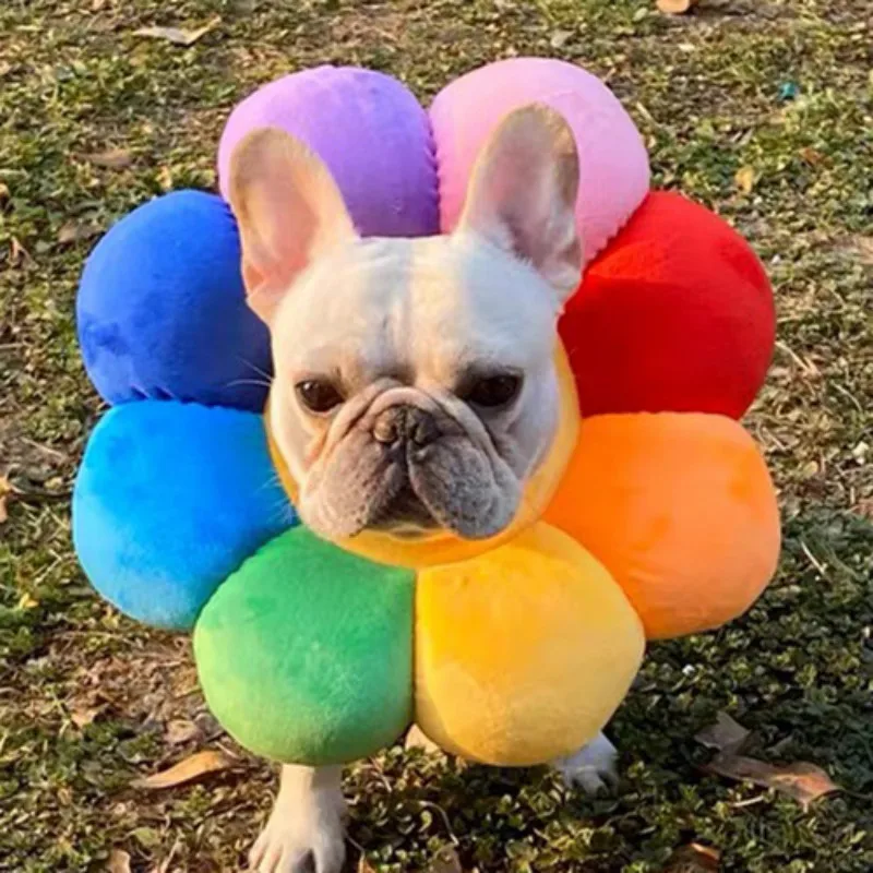 

Fashion Pet Toy For Small Fardou-Corgi Dog/Cat Sunflower Headgear Fleece Cat Doll Pet Funky Sunflower Prop Pet Supplies
