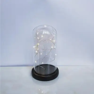 9 см* 12 см стекло малого размера купольная ваза из цельного дерева для украшения дома креативная стеклянная купольная ваза подарок друг свадебное украшение - Цвет: 1set wire black base