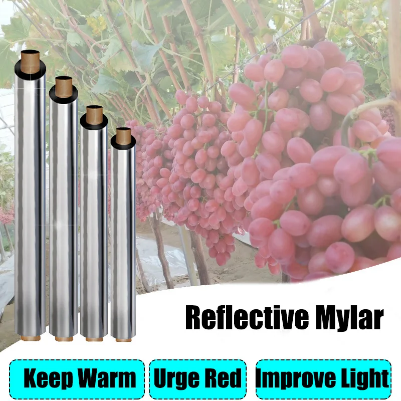 Mylar Film Agriculture Aluminum Plated Film Greenhouse Reflective Mylar Outdoor Fruit Apple Grape Grow Care Mature Speed Up Mat
